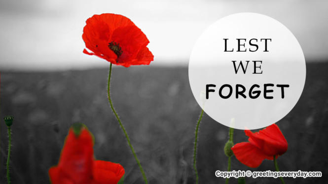 Remembrance Day Wallpapers & Images For WhatsApp & Facebook